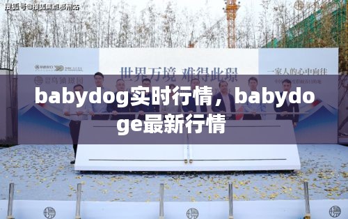 babydog實(shí)時(shí)行情，babydoge最新行情 