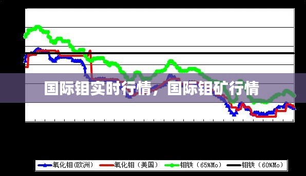 步履如飛