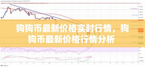 2024年12月19日 第10頁(yè)