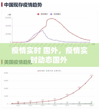 2024年12月19日 第8頁(yè)