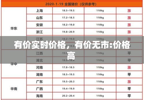 2024年12月19日 第7頁