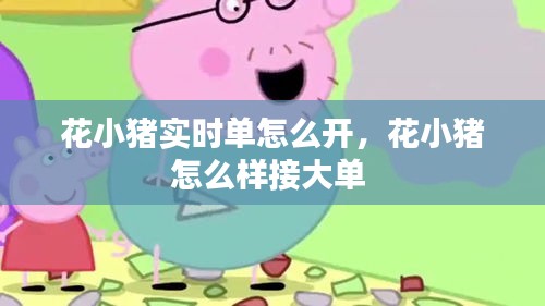 花小豬實(shí)時(shí)單怎么開，花小豬怎么樣接大單 