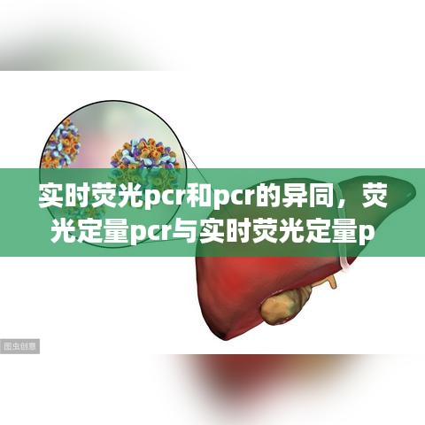 實時熒光pcr和pcr的異同，熒光定量pcr與實時熒光定量pcr有啥區(qū)別 