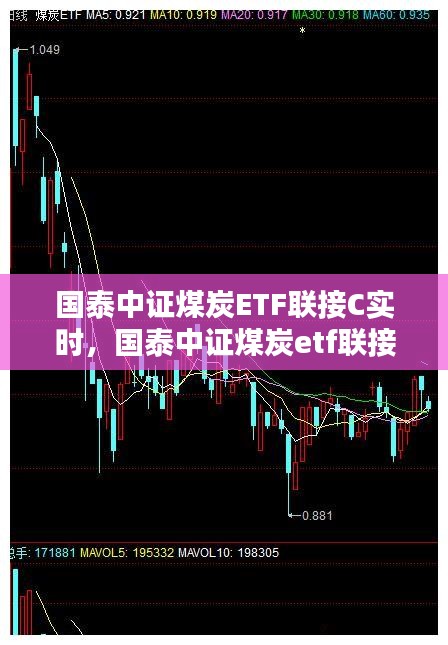 國泰中證煤炭ETF聯(lián)接C實時，國泰中證煤炭etf聯(lián)接c基金 