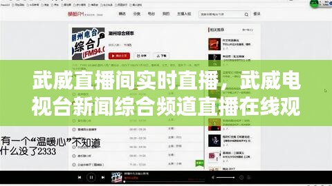 武威直播間實(shí)時(shí)直播，武威電視臺(tái)新聞綜合頻道直播在線觀看 - 天貓tv 