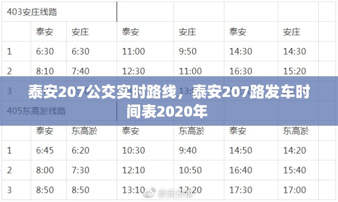 泰安207公交實(shí)時(shí)路線，泰安207路發(fā)車(chē)時(shí)間表2020年 