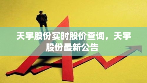 天宇股份實(shí)時(shí)股價(jià)查詢(xún)，天宇股份最新公告 