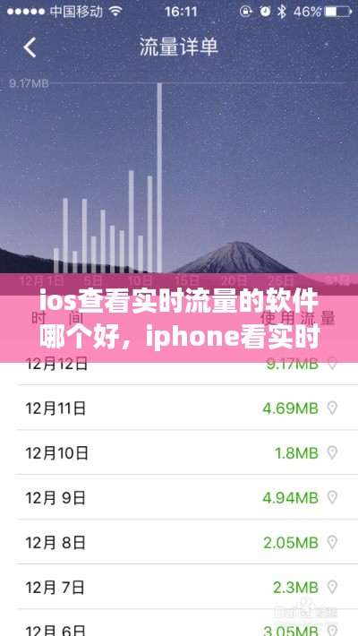 ios查看實時流量的軟件哪個好，iphone看實時流量 