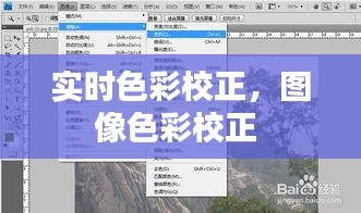 實時色彩校正，圖像色彩校正 
