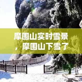 摩圍山實時雪景，摩圍山下雪了嗎2020 