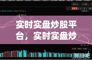 實(shí)時實(shí)盤炒股平臺，實(shí)時實(shí)盤炒股平臺有哪些 