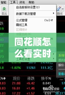同花順怎么看實(shí)時(shí)動(dòng)態(tài)，同花順怎么看ene 