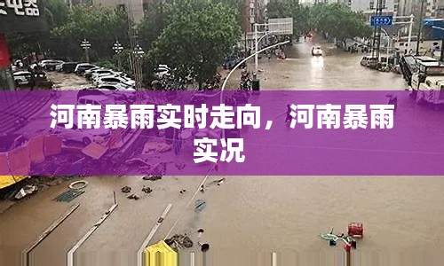 河南暴雨實(shí)時(shí)走向，河南暴雨實(shí)況 