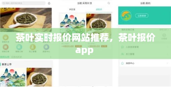 茶葉實時報價網(wǎng)站推薦，茶葉報價app 