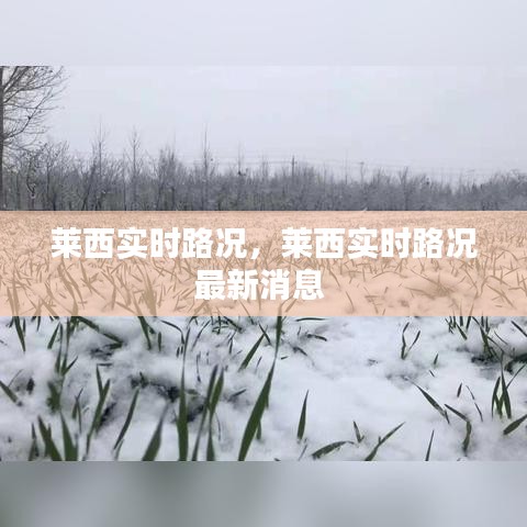 萊西實時路況，萊西實時路況最新消息 