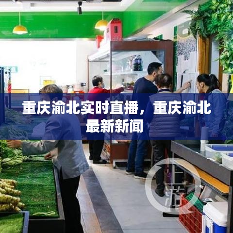 重慶渝北實時直播，重慶渝北最新新聞 