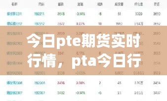 今日pte期貨實時行情，pta今日行情 