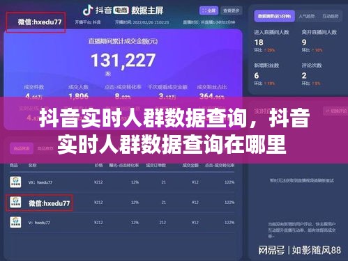 抖音實(shí)時(shí)人群數(shù)據(jù)查詢，抖音實(shí)時(shí)人群數(shù)據(jù)查詢?cè)谀睦?