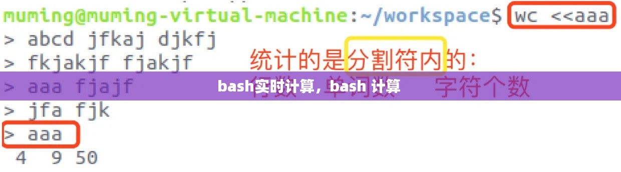 bash實時計算，bash 計算 