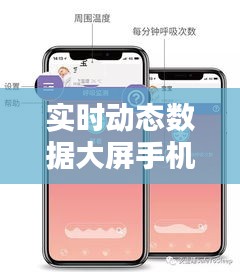 實(shí)時(shí)動(dòng)態(tài)數(shù)據(jù)大屏手機(jī)版，實(shí)時(shí)動(dòng)態(tài)意思 