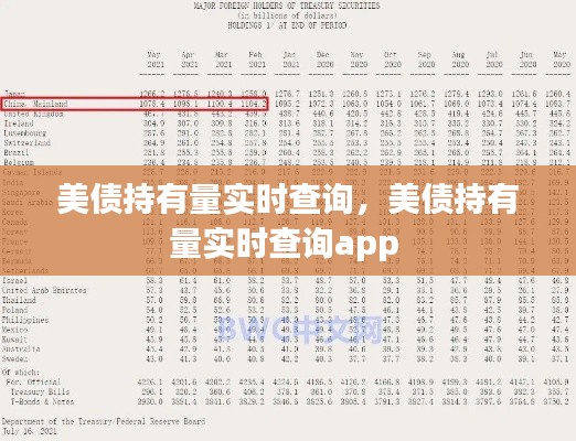 美債持有量實時查詢，美債持有量實時查詢app 