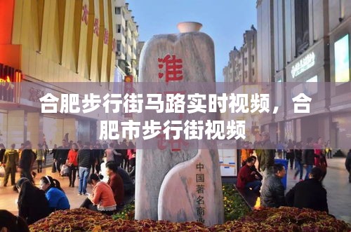 合肥步行街馬路實(shí)時(shí)視頻，合肥市步行街視頻 