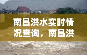 南昌洪水實時情況查詢，南昌洪水災(zāi)害 