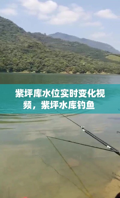 紫坪庫水位實時變化視頻，紫坪水庫釣魚 