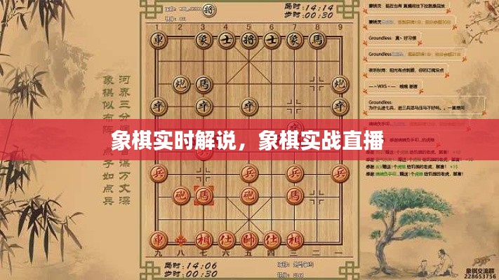 象棋實(shí)時解說，象棋實(shí)戰(zhàn)直播 