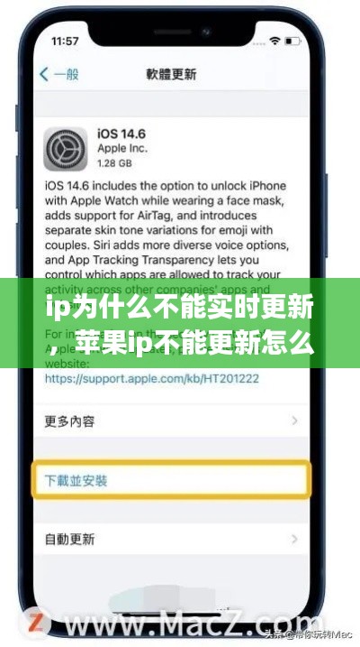 ip為什么不能實時更新，蘋果ip不能更新怎么辦 
