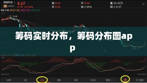 籌碼實(shí)時(shí)分布，籌碼分布圖app 