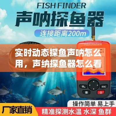 實時動態(tài)探魚聲吶怎么用，聲納探魚器怎么看魚情 