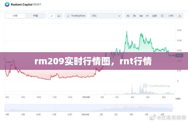 rm209實(shí)時行情圖，rnt行情 