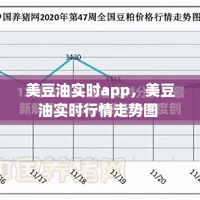 美豆油實(shí)時(shí)app，美豆油實(shí)時(shí)行情走勢圖 