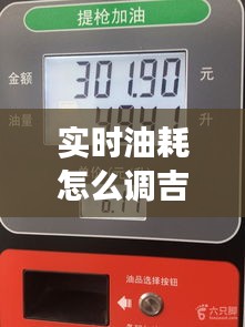 實(shí)時(shí)油耗怎么調(diào)吉利，吉利的油耗表準(zhǔn)嗎 