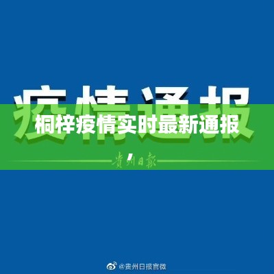 桐梓疫情實(shí)時最新通報， 