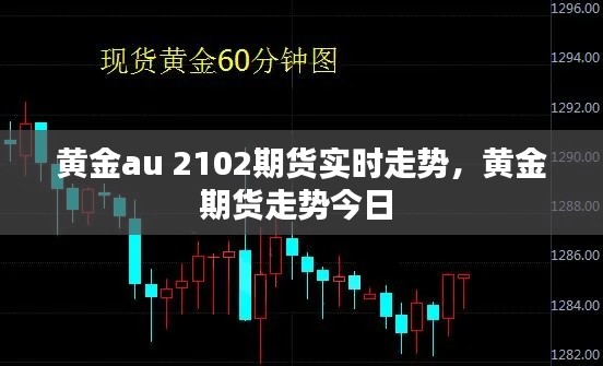 黃金au 2102期貨實時走勢，黃金期貨走勢今日 