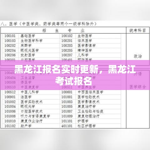 黑龍江報名實時更新，黑龍江考試報名 