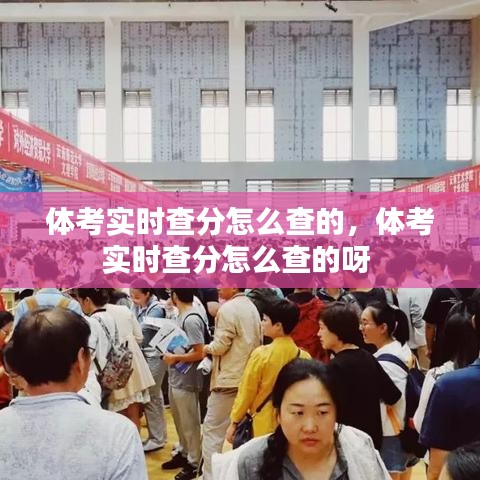 體考實時查分怎么查的，體考實時查分怎么查的呀 