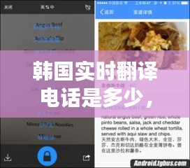 韓國實(shí)時(shí)翻譯電話是多少，韓國中文翻譯電話 