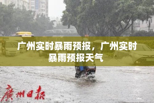 廣州實(shí)時(shí)暴雨預(yù)報(bào)，廣州實(shí)時(shí)暴雨預(yù)報(bào)天氣 