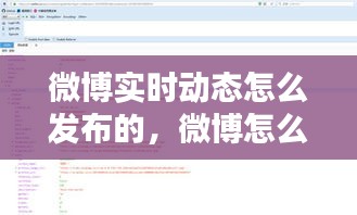 微博實(shí)時(shí)動(dòng)態(tài)怎么發(fā)布的，微博怎么發(fā)實(shí)時(shí)動(dòng)態(tài)照片 