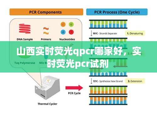 山西實時熒光qpcr哪家好，實時熒光pcr試劑 