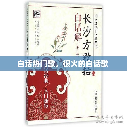 白話熱門歌，很火的白話歌 