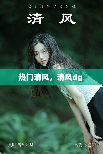 熱門清風，清風dg 