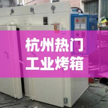 杭州熱門工業(yè)烤箱，杭州烤箱批發(fā) 