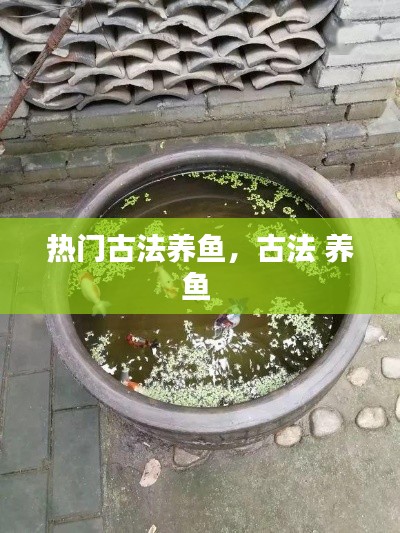 熱門古法養(yǎng)魚，古法 養(yǎng)魚 