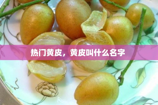 熱門黃皮，黃皮叫什么名字 