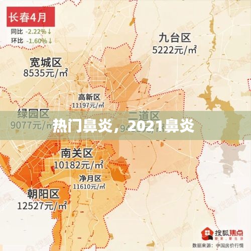 熱門鼻炎，2021鼻炎 