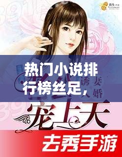 熱門小說排行榜絲足， 